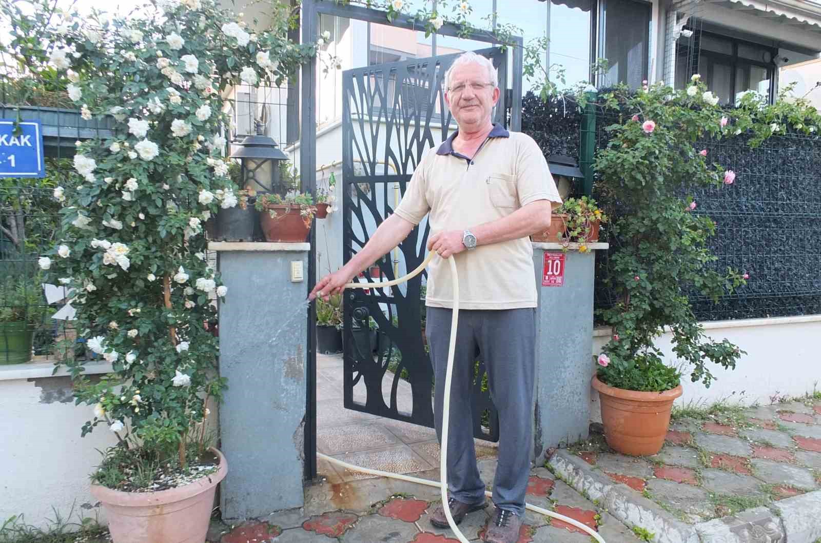 Burhaniye &Ouml;ren de bah&ccedil;elerde g&uuml;l g&uuml;zelliği yaşanıyor