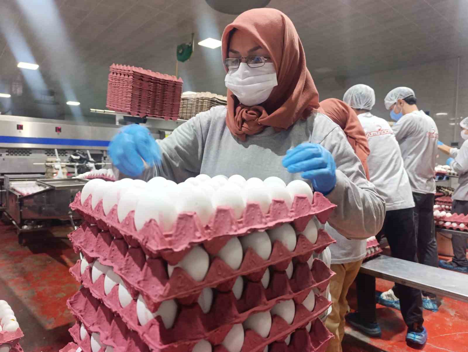 Yumurta &uuml;reticilerinin g&ouml;z&uuml; Tahıl Koridoru&rsquo;nda