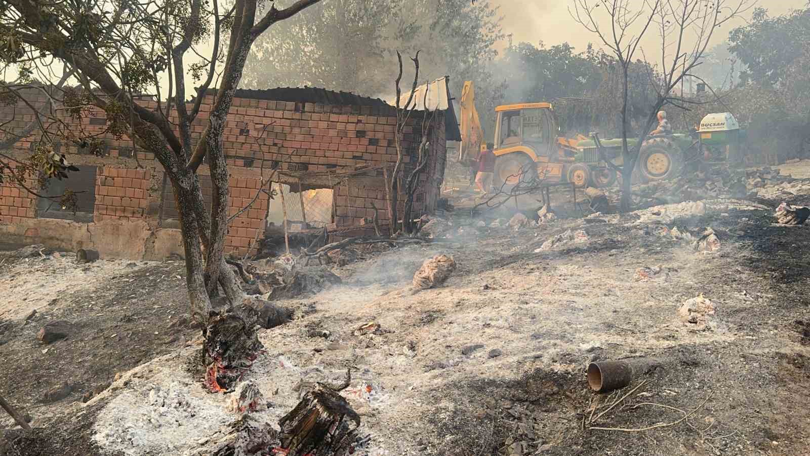 Yangın b&ouml;lgesindeki hayvanlar g&uuml;venli alanlara tahliye edildi