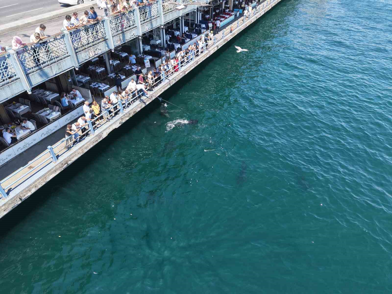 Boğazın devleri Emin&ouml;n&uuml; kıyısında