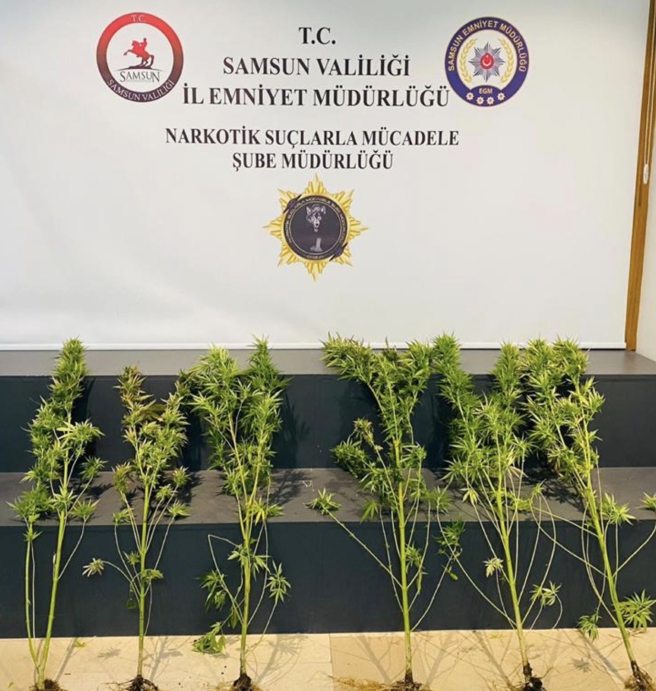 Samsun&rsquo;da 760 gram metamfetamin ele ge&ccedil;irildi