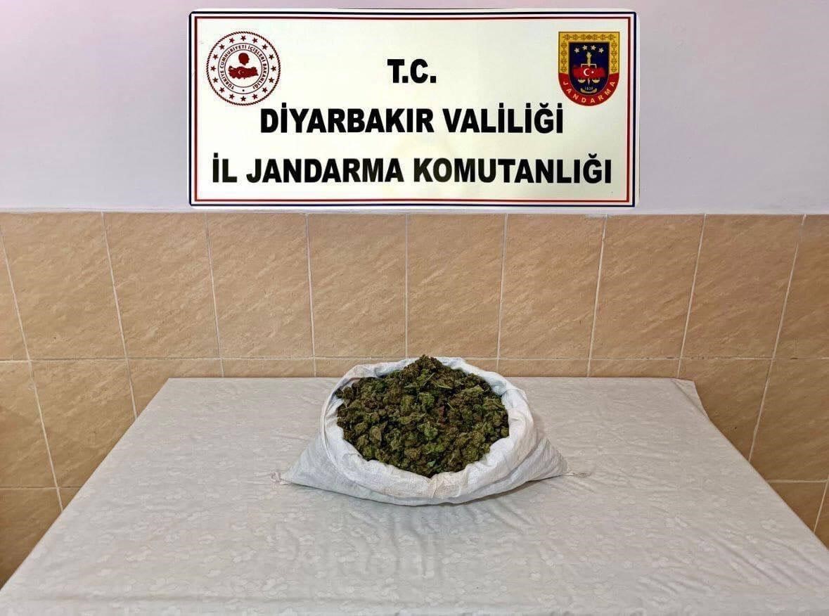 Diyarbakır&rsquo;da 253 bin k&ouml;k kenevir ve 42 kilo esrar ele ge&ccedil;irildi