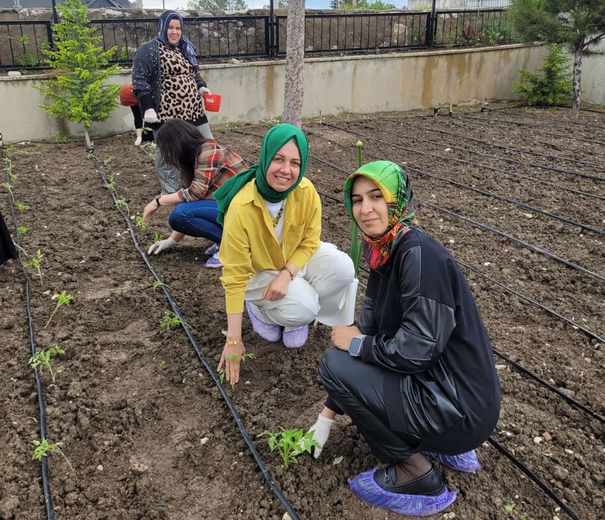 Altıntaş’ta öğretmenler domates fidelerini toprakla buluşturdu