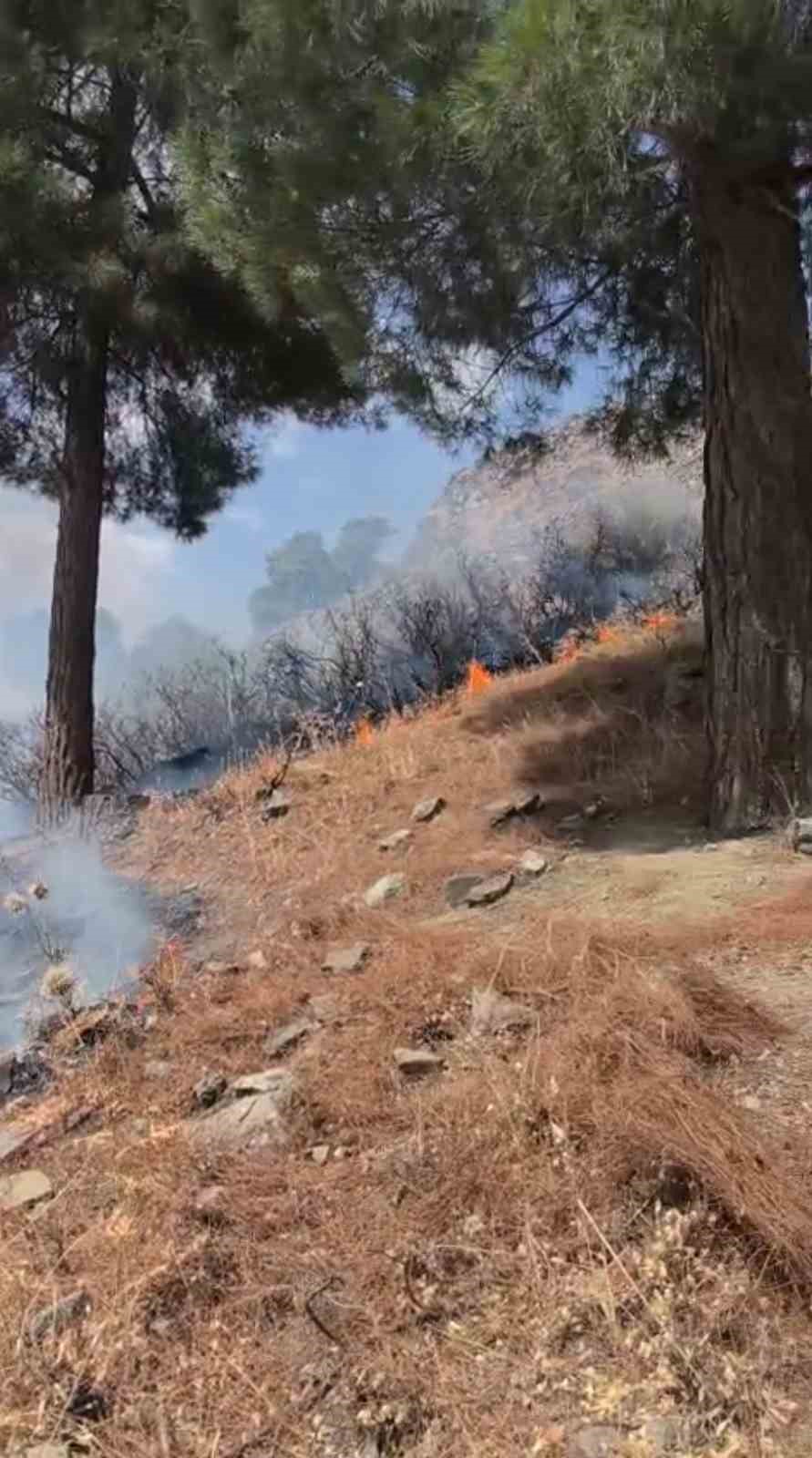 Siirt&rsquo;te 5 ayrı noktada yangın alarmı: 4 b&ouml;lgede s&ouml;nd&uuml;r&uuml;ld&uuml;, &Ccedil;amtaşı&rsquo;nda m&uuml;dahale s&uuml;r&uuml;yor