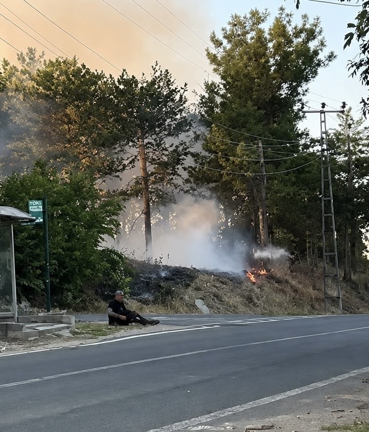 Muratlı&rsquo;da ağa&ccedil;lık alanda &ccedil;ıkan yangın s&ouml;nd&uuml;r&uuml;ld&uuml;