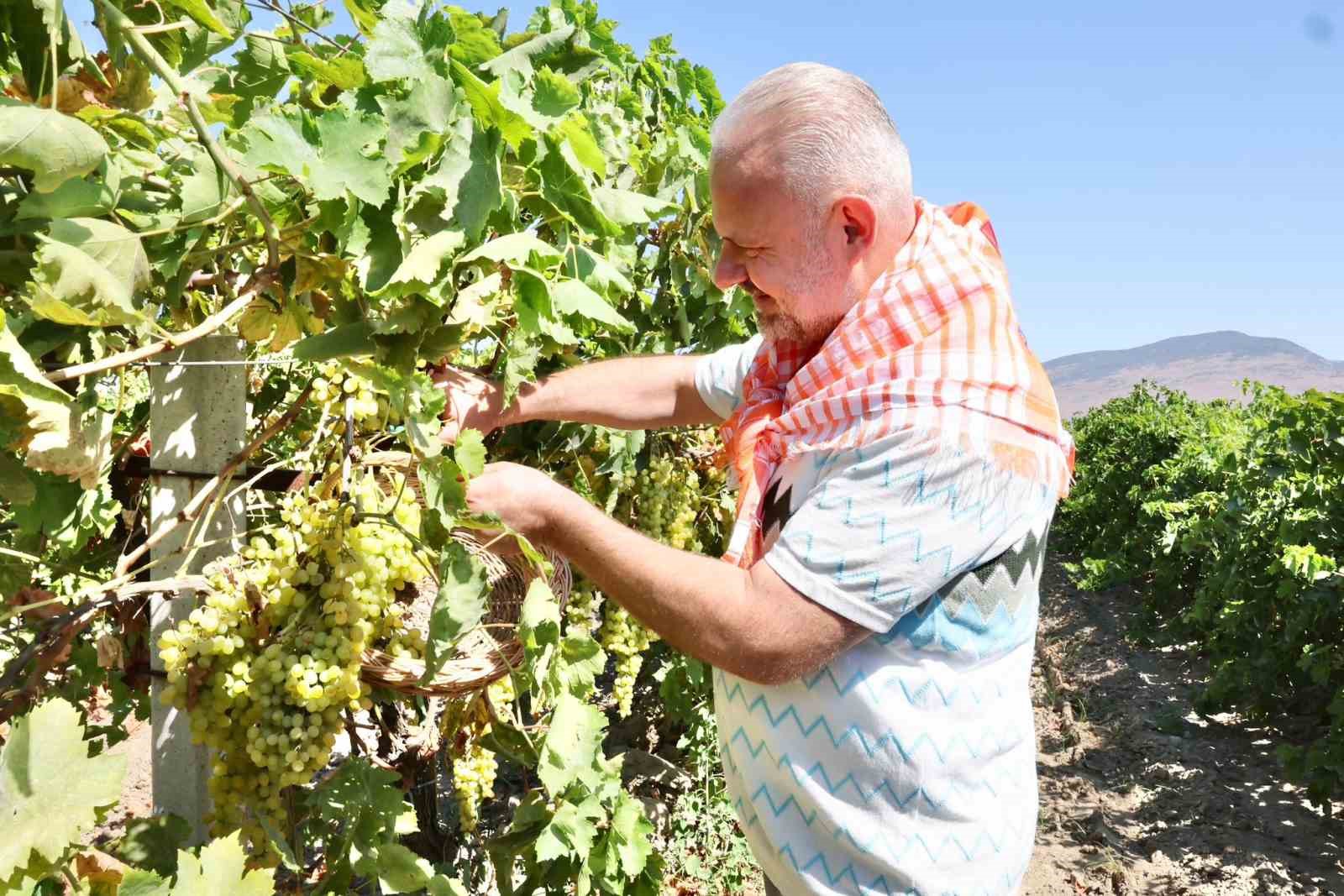 Menemen&rsquo;de &rsquo;Bağ Bozumu&rsquo; coşkusu