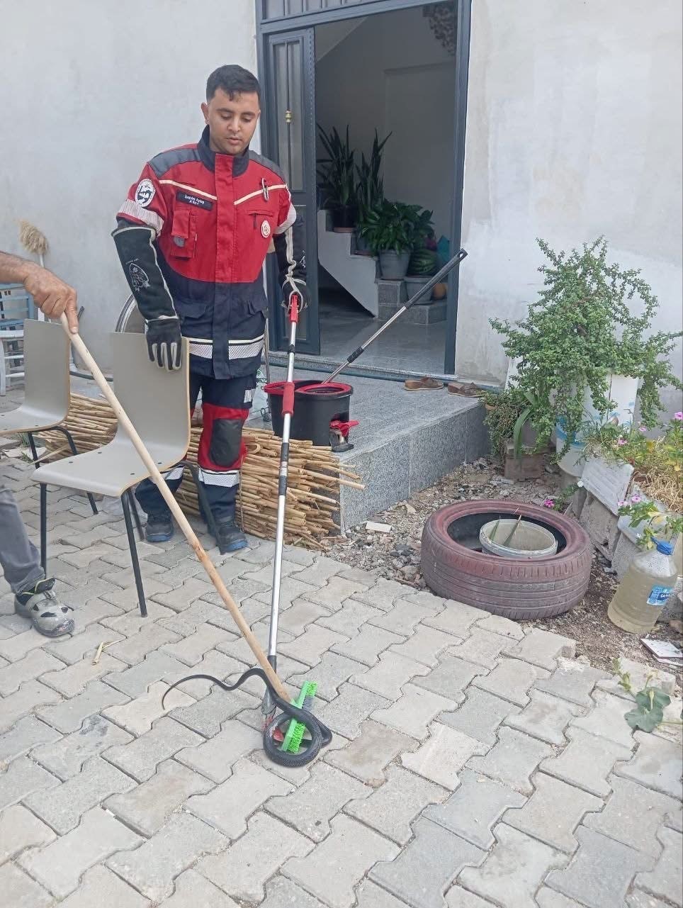 Antakya ve Hassa&rsquo;da yerleşim yerlerinde g&ouml;r&uuml;len yılanlar yakalandı