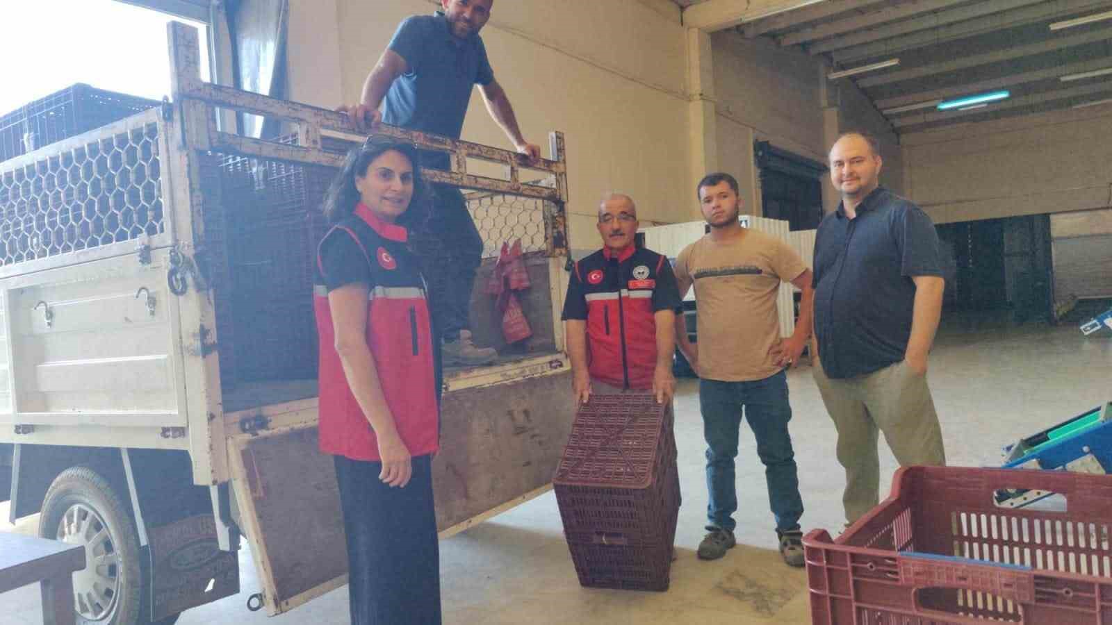 Nazilli&rsquo;de incir &uuml;reticilerine destek