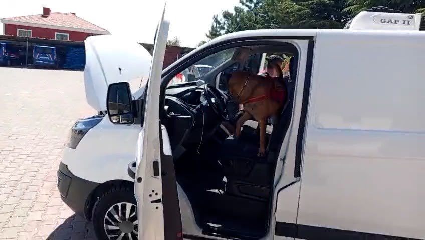 Narkotik k&ouml;peği &rsquo;Zırh&rsquo; uyuşturucu sevkiyatını engelledi
