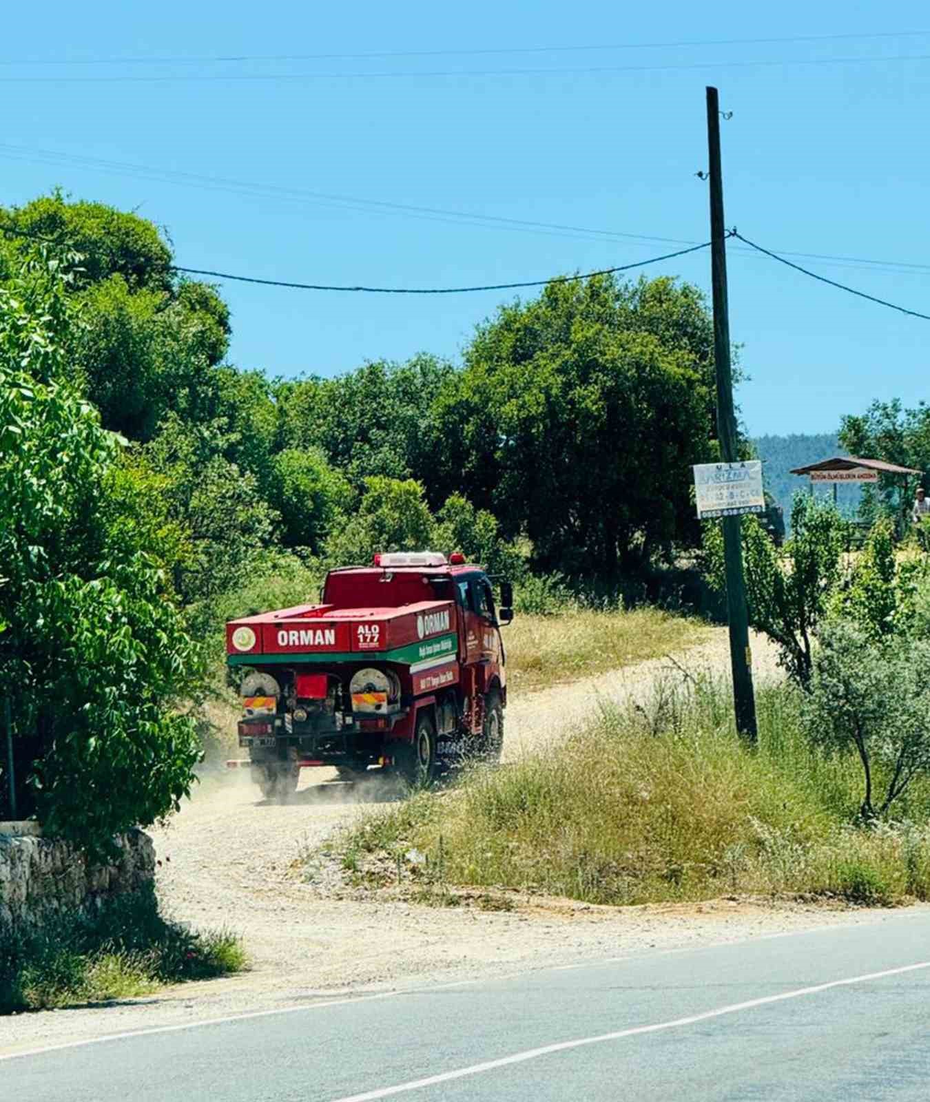 Menteşe&rsquo;de orman yangını