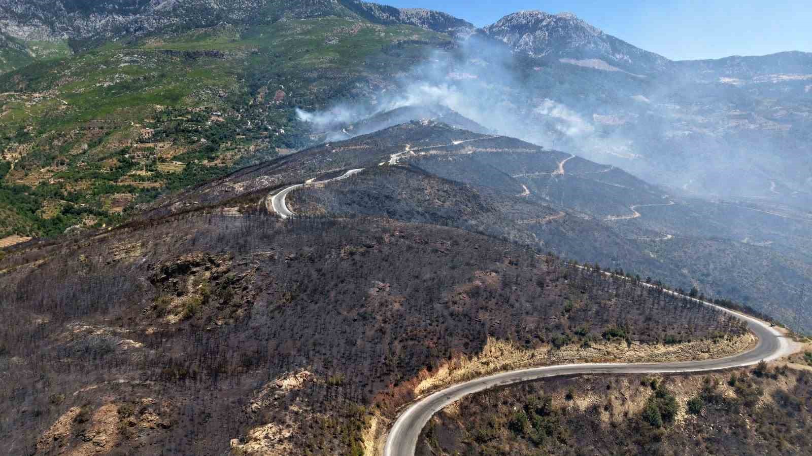 Alanya&rsquo;daki orman yangınında şu ana kadar 305 dekar alan etkilendi