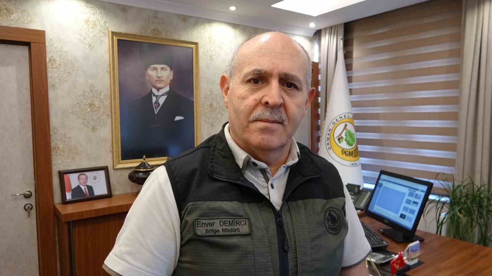&Ccedil;anakkale&rsquo;de 4 g&uuml;n boyunca orman yangını alarmı