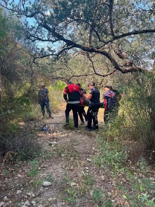 Defne&rsquo;de ağa&ccedil;tan d&uuml;şen vatandaş yaralandı