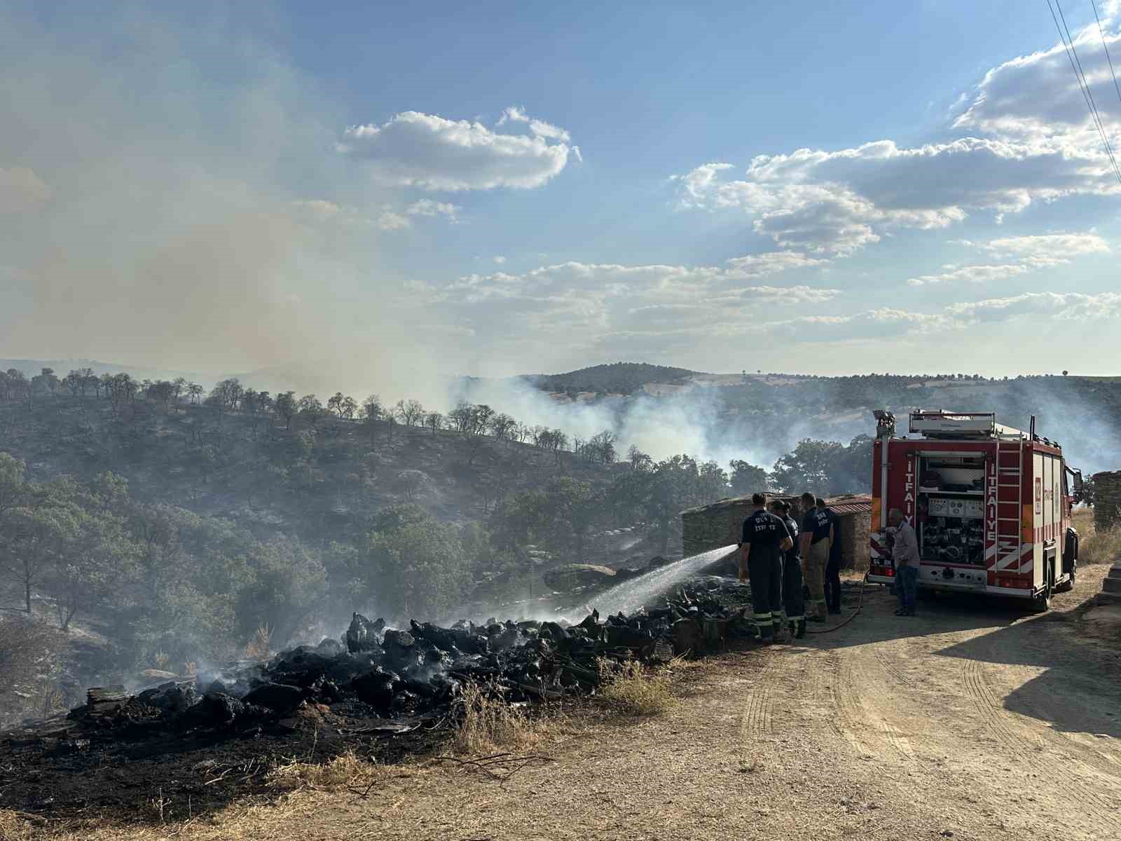 Uşak&rsquo;ta meşelik alanda &ccedil;ıkan yangına m&uuml;dahale s&uuml;r&uuml;yor
