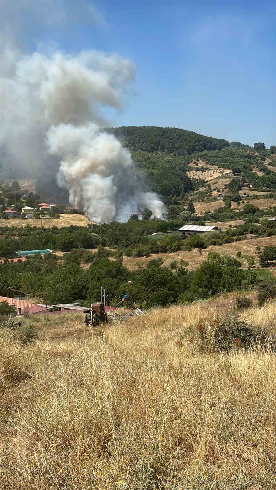 Kuyucak&rsquo;ta ziraat alanındaki yangın ormana ulaşmadan s&ouml;nd&uuml;r&uuml;ld&uuml;