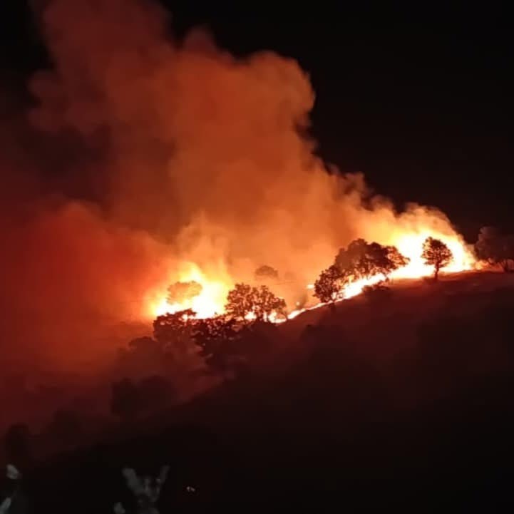 Siirt&rsquo;teki yangın kontrol altına alındı