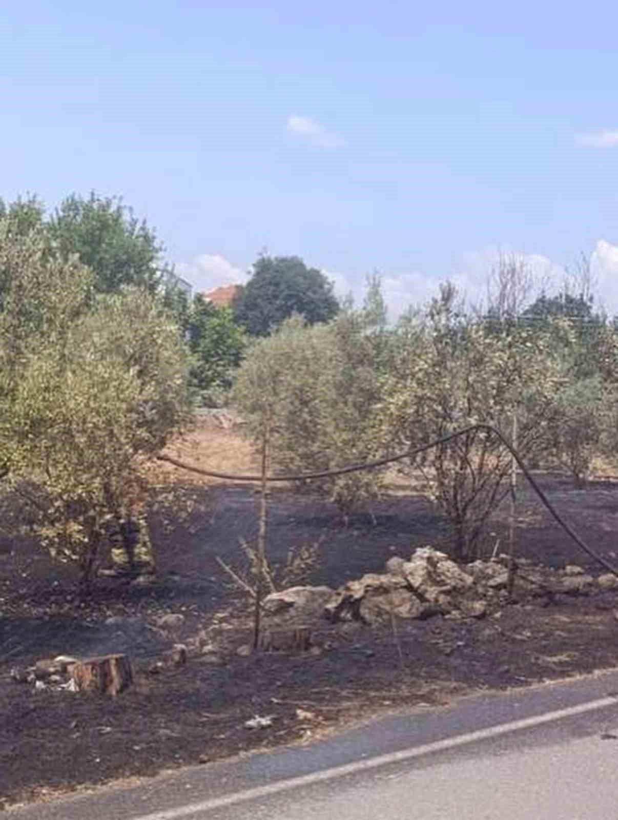 D&ouml;rtyol&rsquo;da bah&ccedil;e yangını kontrol altına alındı
