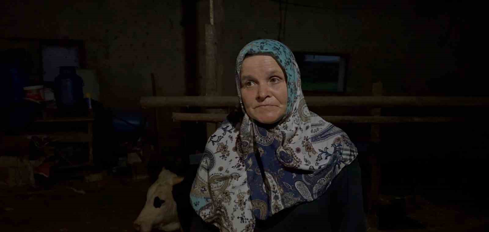 Bah&ccedil;esine giren dananın kuyruğunu baltayla kesti