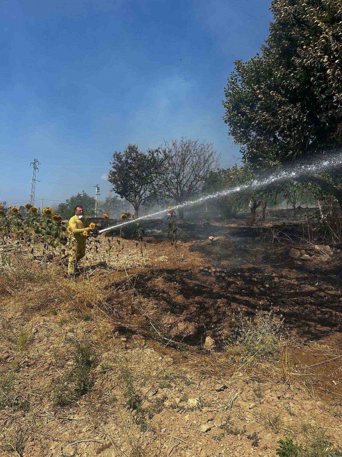 Bi&ccedil;imi yapılmış buğday tarlasında yangın