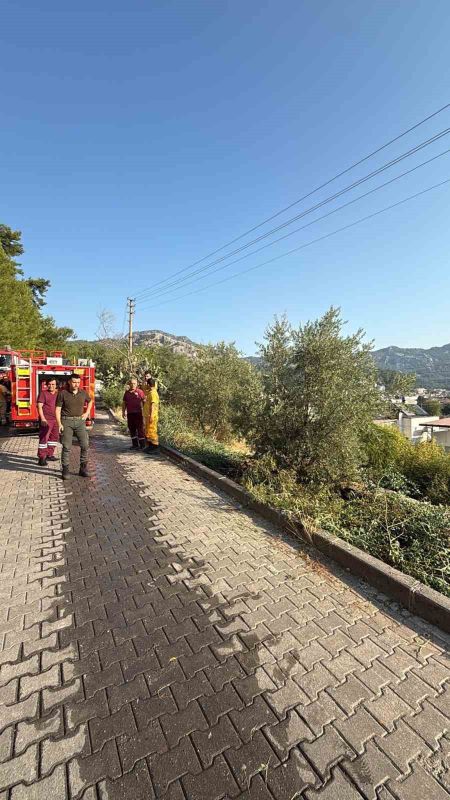 Marmaris&rsquo;te ormanı yakmaya &ccedil;alışan ş&uuml;pheli yakalandı