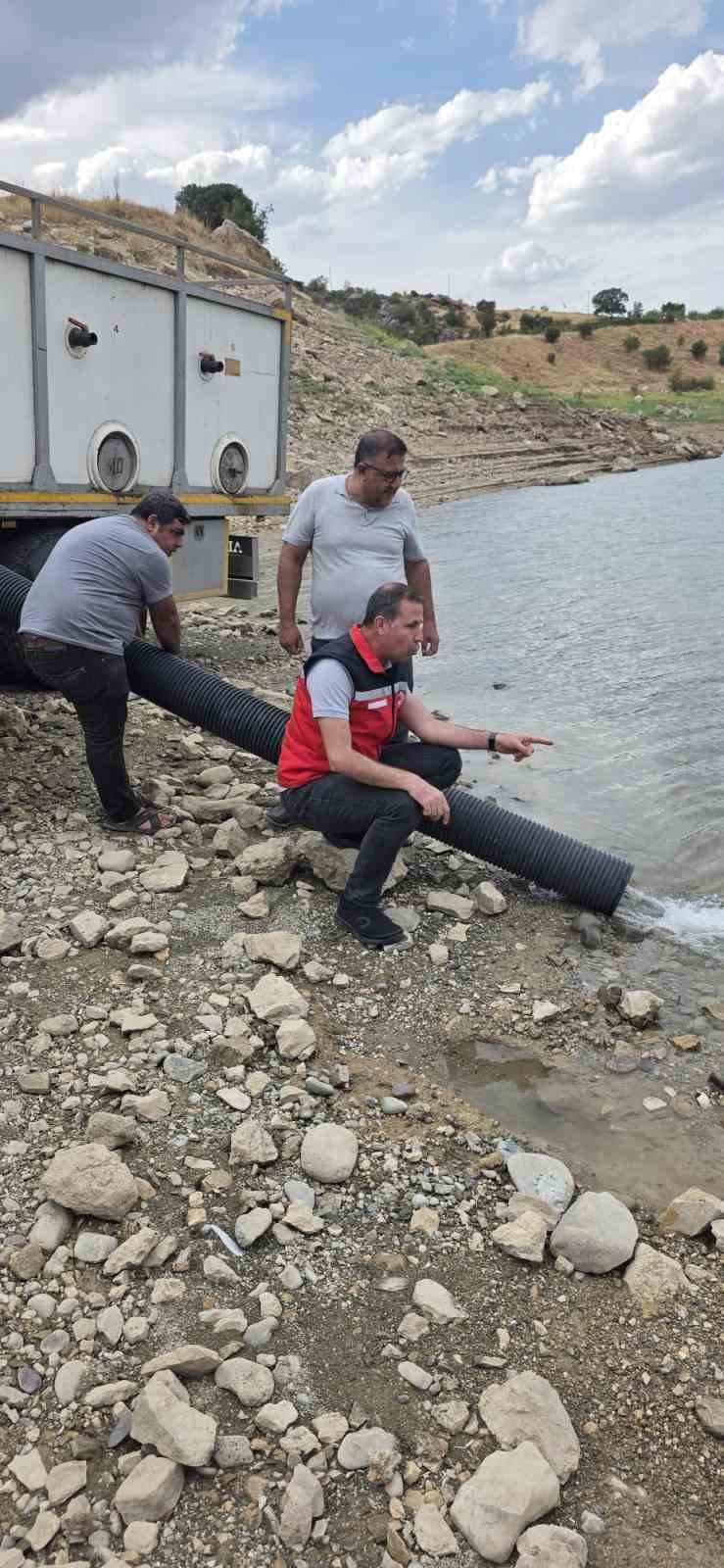 Kralkızı Barajına 820 bin yavru balık bırakıldı