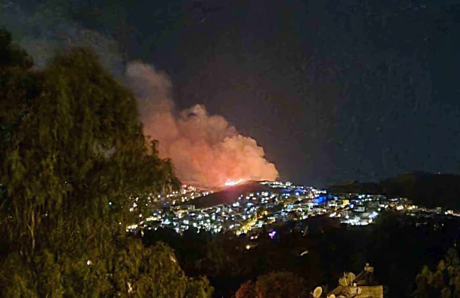 Bodrum&rsquo;da makilik alanda yangın