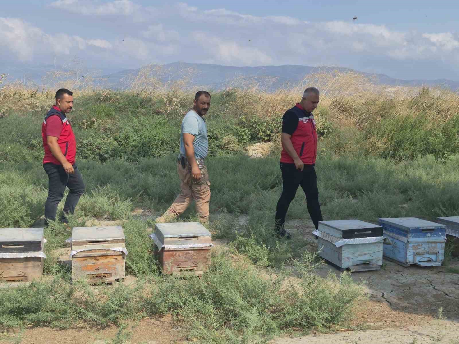 Antakya&rsquo;da arıcılar bal sağımını s&uuml;rd&uuml;r&uuml;yor