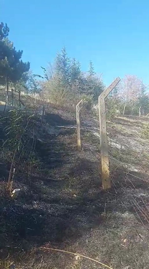 Kastamonu&rsquo;da otluk alanda &ccedil;ıkan yangın mezarlara zarar verdi