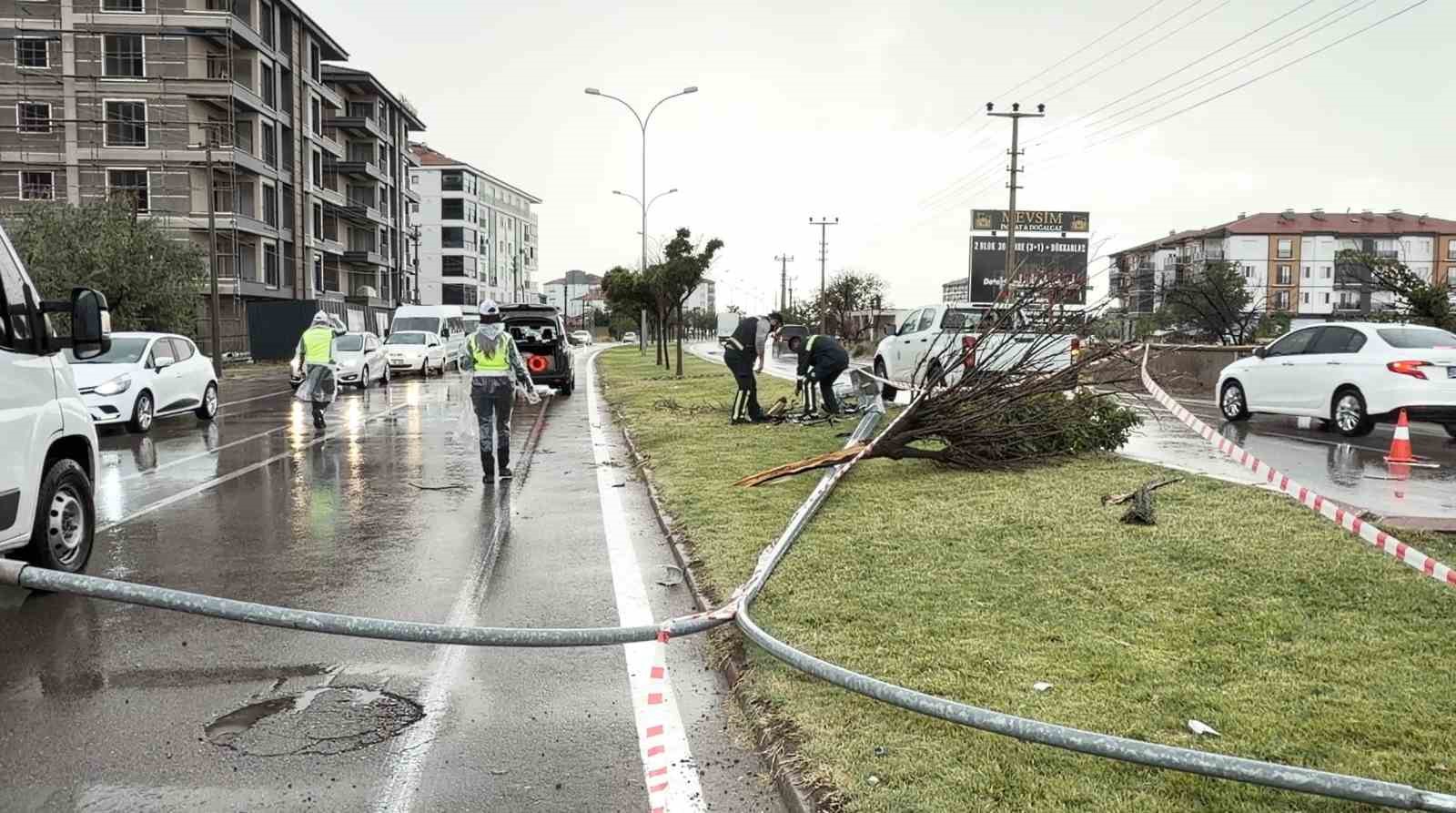 Kontrolden &ccedil;ıkan otomobil &ouml;nce direği sonra ağacı devirdi: 1 yaralı