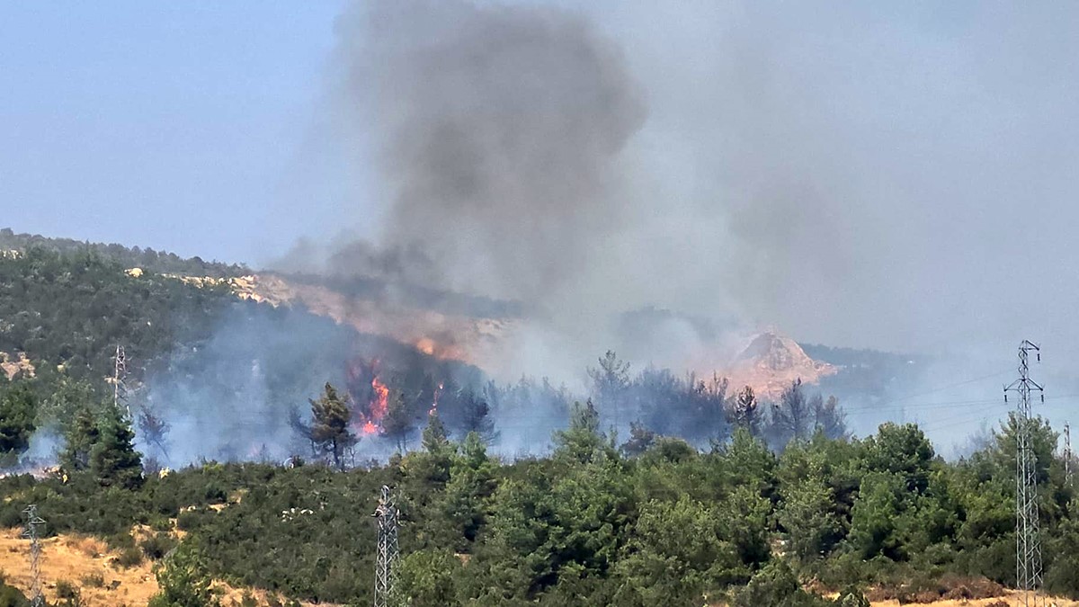 Bilecik&rsquo;te ormanlık alanda yangın başladı