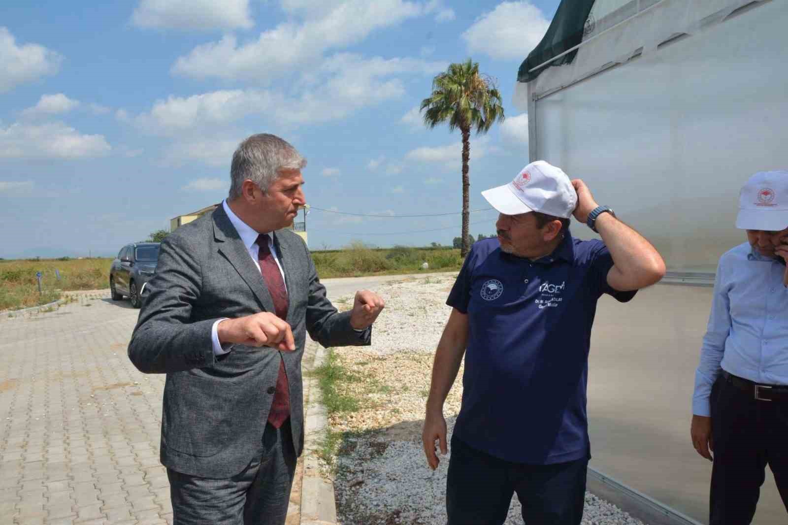Adana&rsquo;da tarıma faydalı b&ouml;cek incelemesi