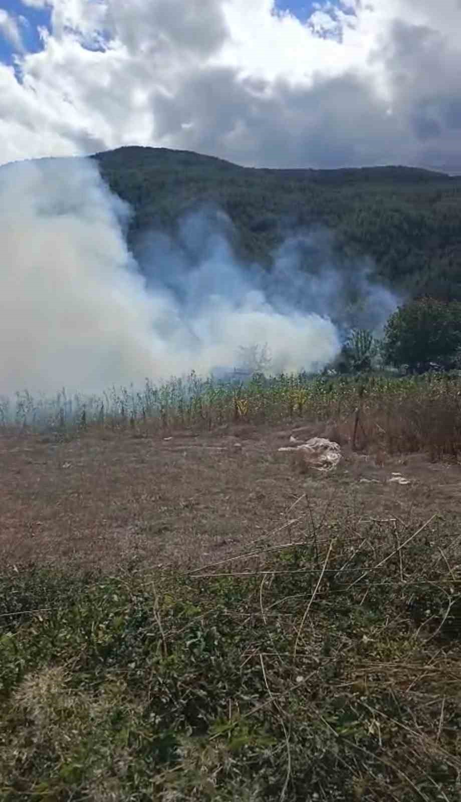 Korkutan ot yangını evlere sı&ccedil;ramadan s&ouml;nd&uuml;r&uuml;ld&uuml;