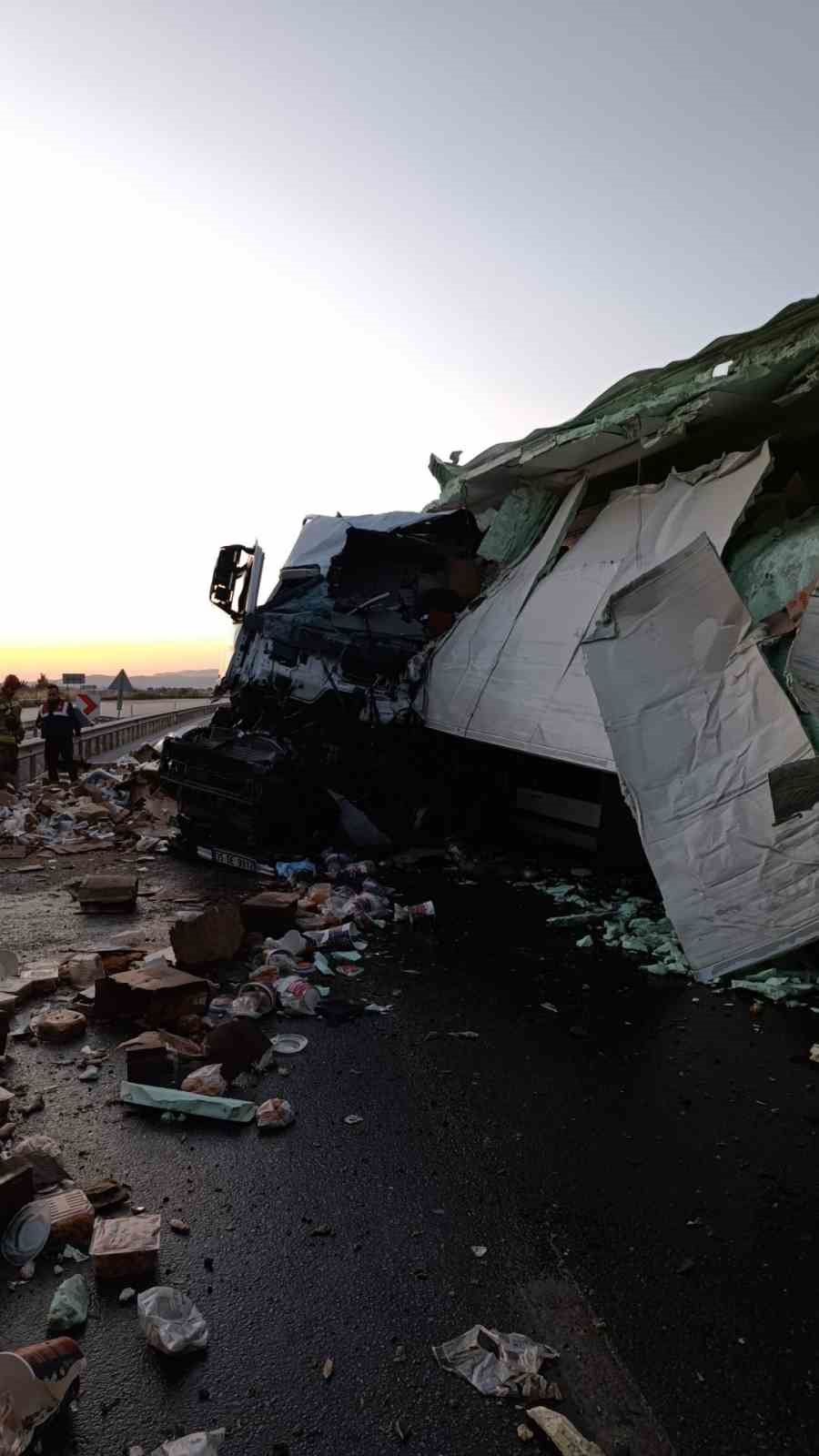 Köprüdeki beton bariyere çarpan tavuk yüklü kamyonun sürücüsü hayatını kaybetti