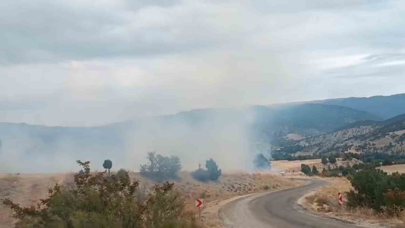 Bolu&rsquo;da arazi yangını ormanlık alana ulaşmadan s&ouml;nd&uuml;r&uuml;ld&uuml;