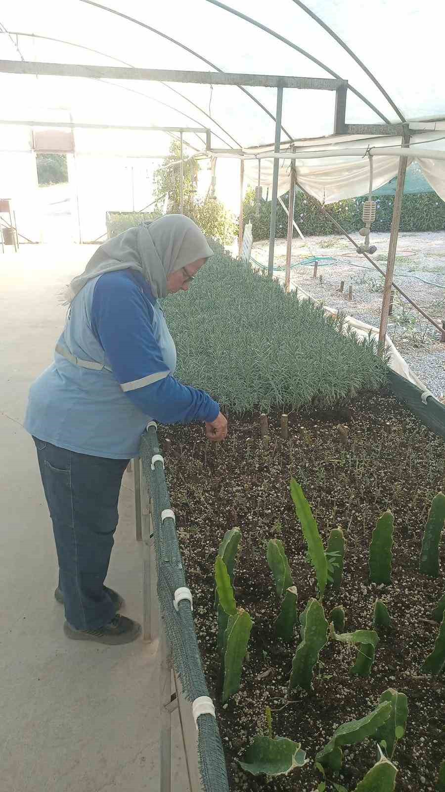 Didim Belediyesi&rsquo;nden yeşil hamle