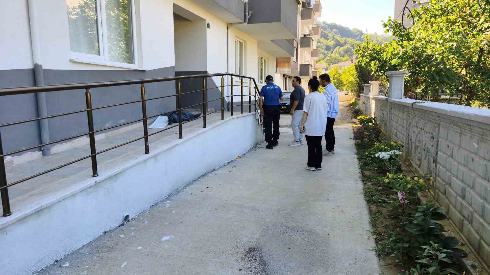 Sinop&rsquo;ta sokak k&ouml;peği silahla vurularak &ouml;ld&uuml;r&uuml;ld&uuml;