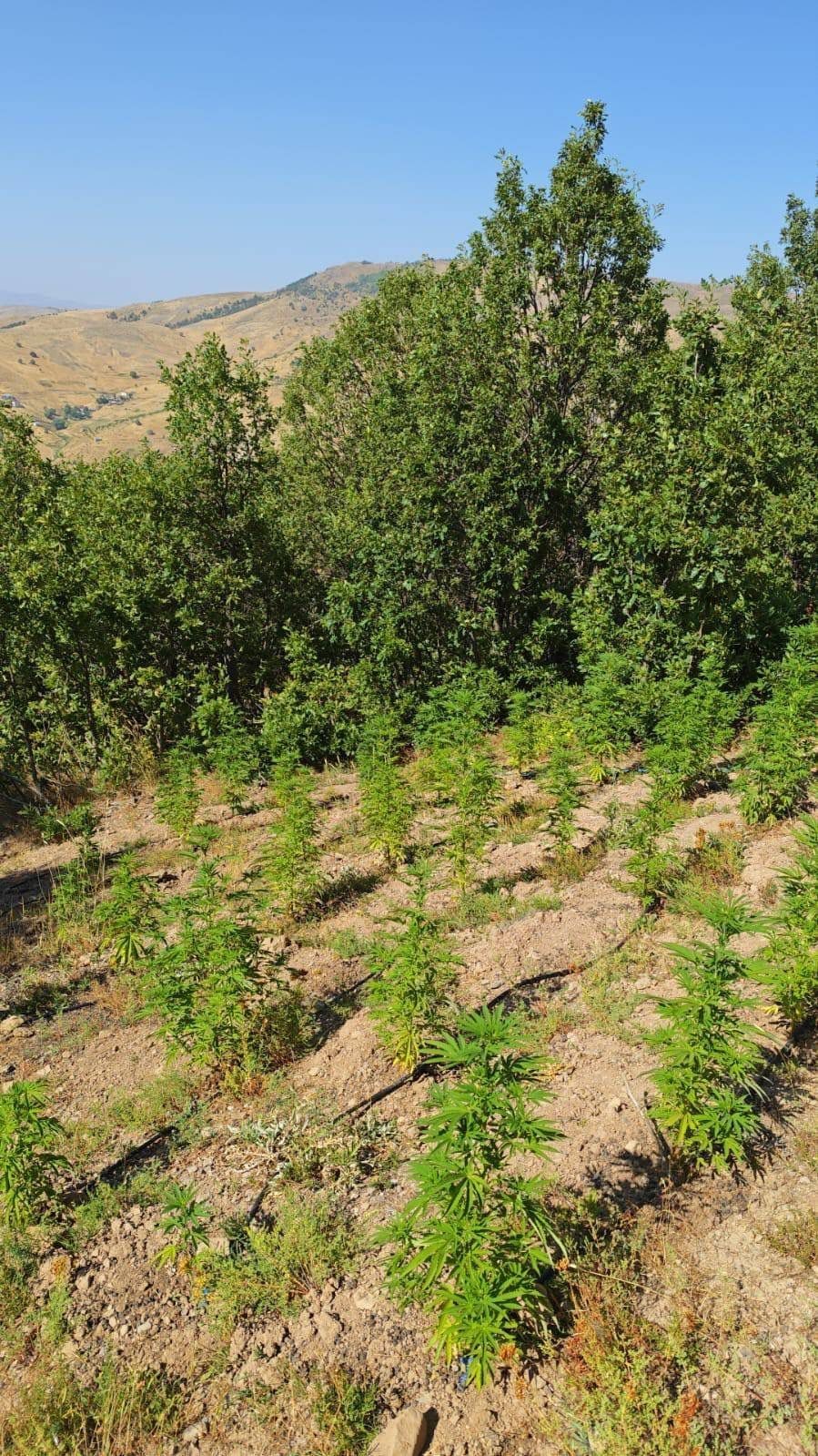 Bing&ouml;l&rsquo;de jandarmadan huzur ve g&uuml;venlik &ccedil;alışmaları