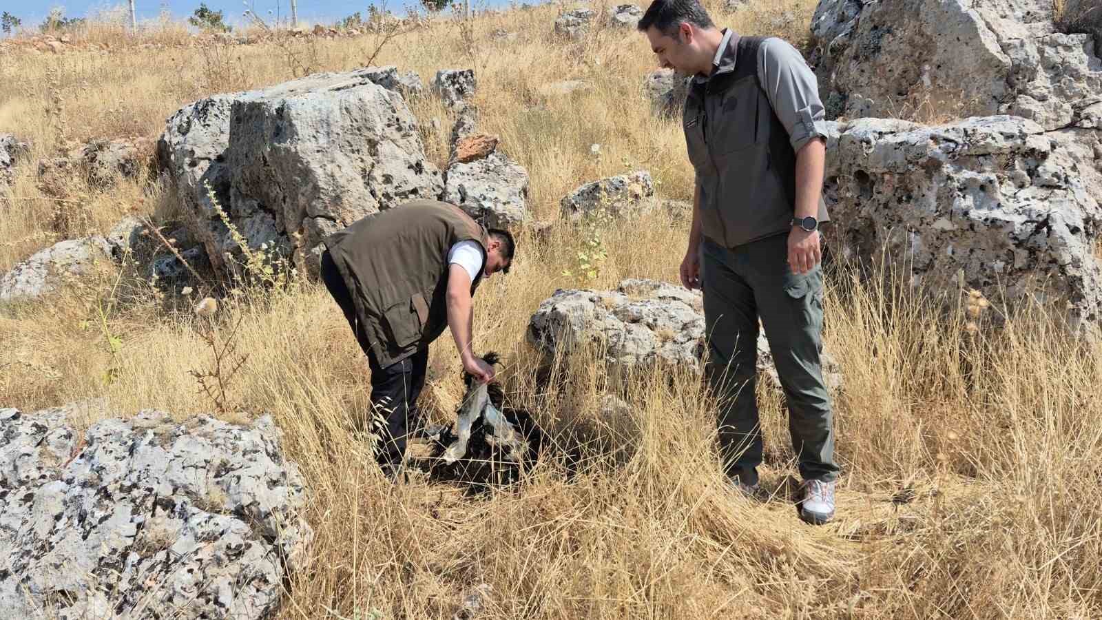 Doğal yaşamı bozanlara 5 Milyon TL&rsquo;ye kadar ceza