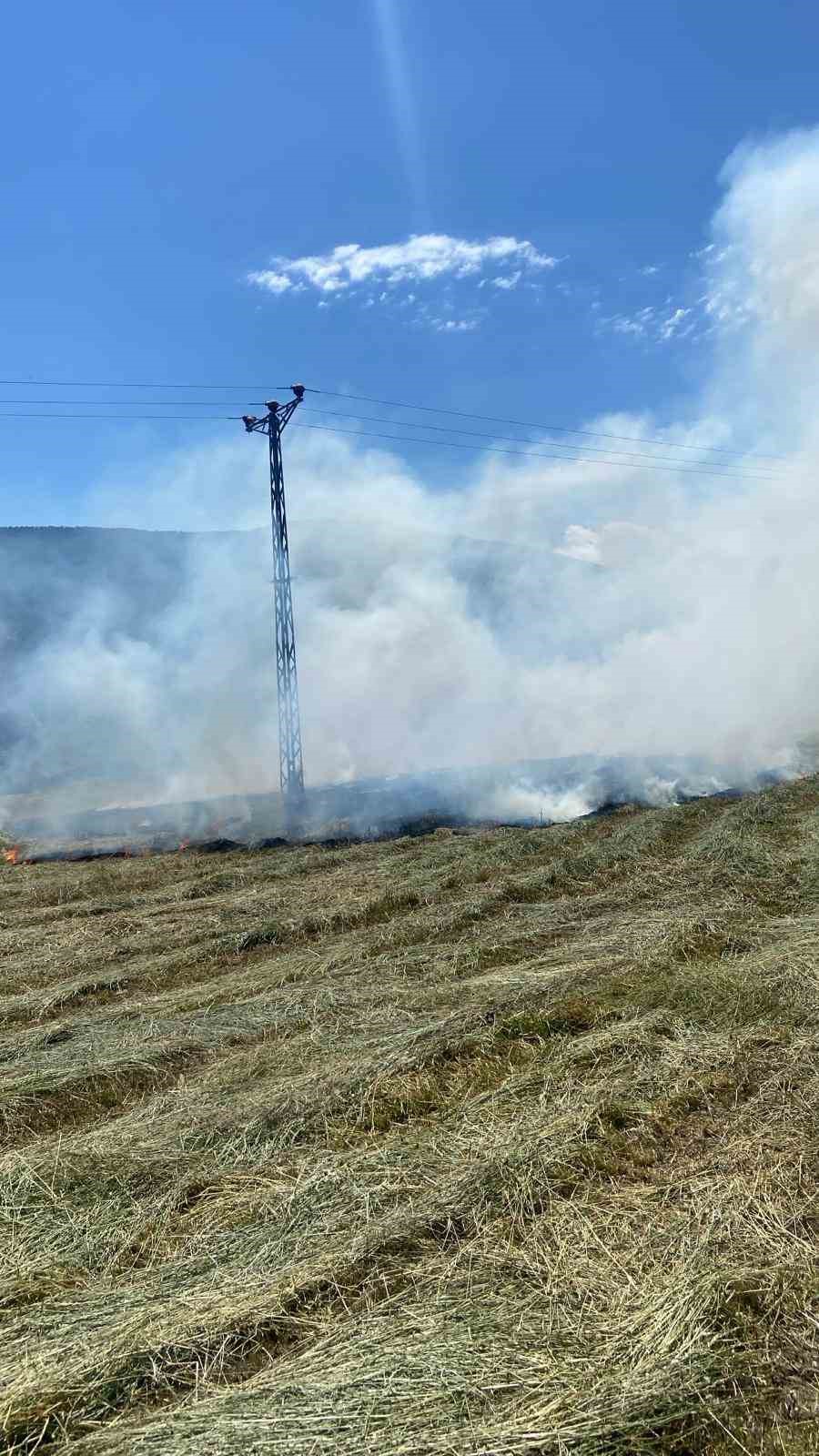 Anız yangını ormana sı&ccedil;ramadan s&ouml;nd&uuml;r&uuml;ld&uuml;