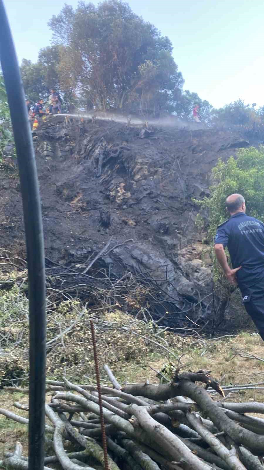 Marmara&rsquo;da &ccedil;ıkan ot yangını ormana sı&ccedil;ramadan s&ouml;nd&uuml;r&uuml;ld&uuml;