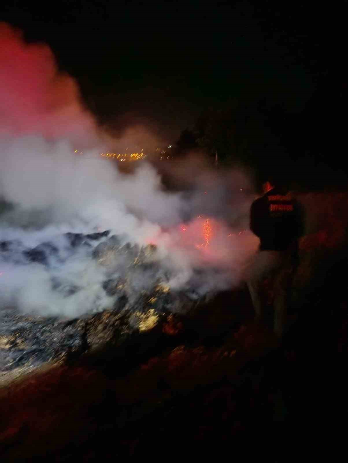Bolu&rsquo;da korkutan anız yangını: Ormana sı&ccedil;ramadan s&ouml;nd&uuml;r&uuml;ld&uuml;