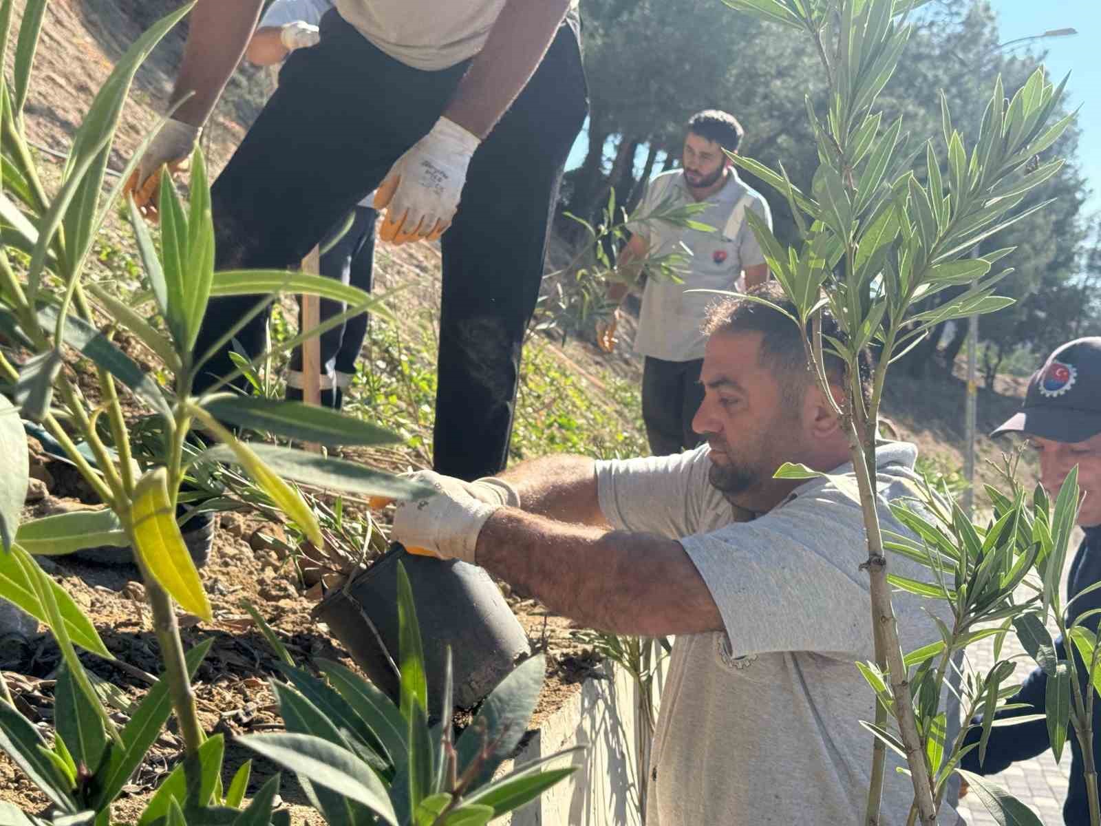 Karab&uuml;k Belediyesinden yeşil d&ouml;n&uuml;ş&uuml;m