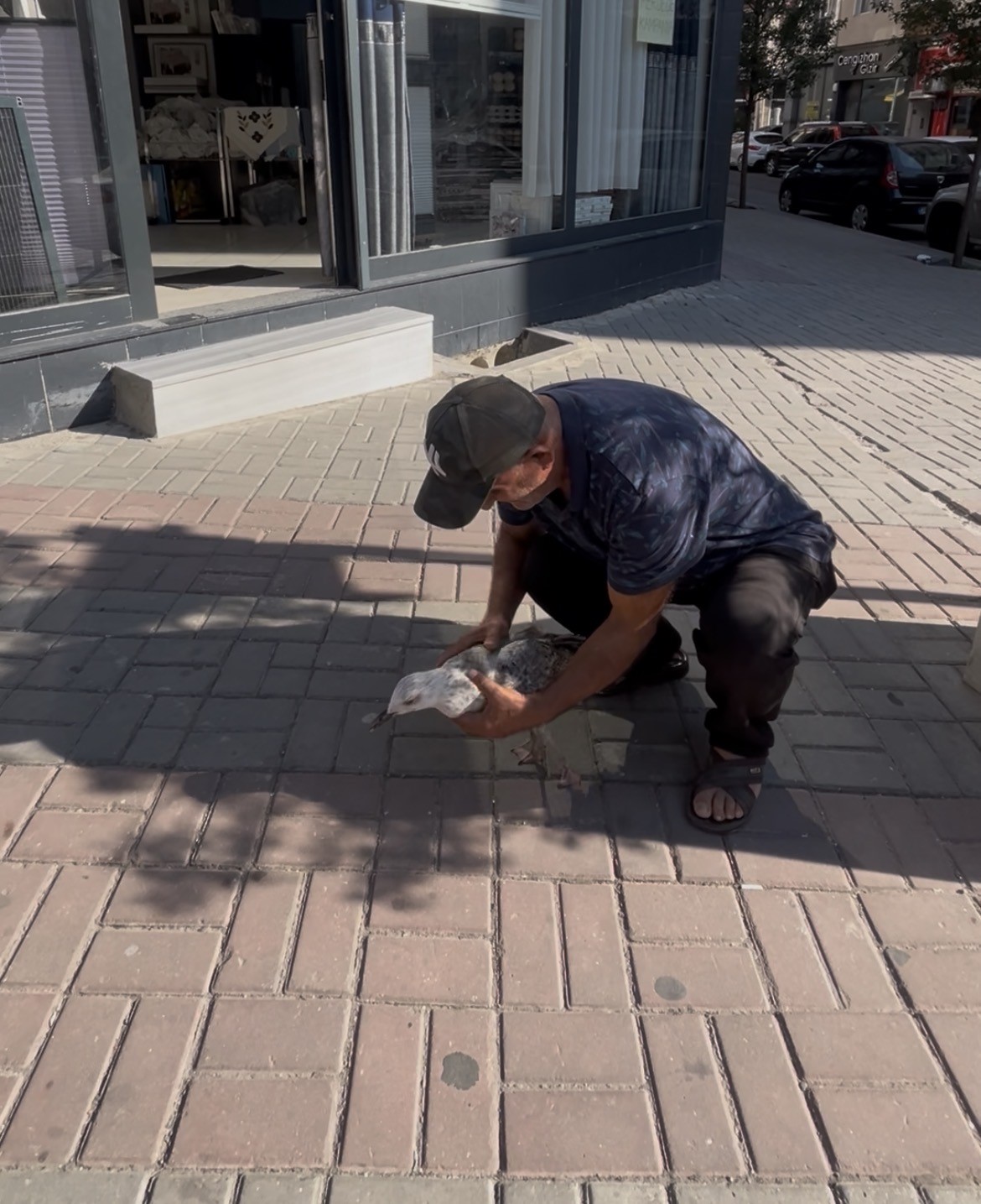 Tekirdağ&rsquo;da bitkin d&uuml;şen martı kolunu ısırdı şefkatini eksik etmedi