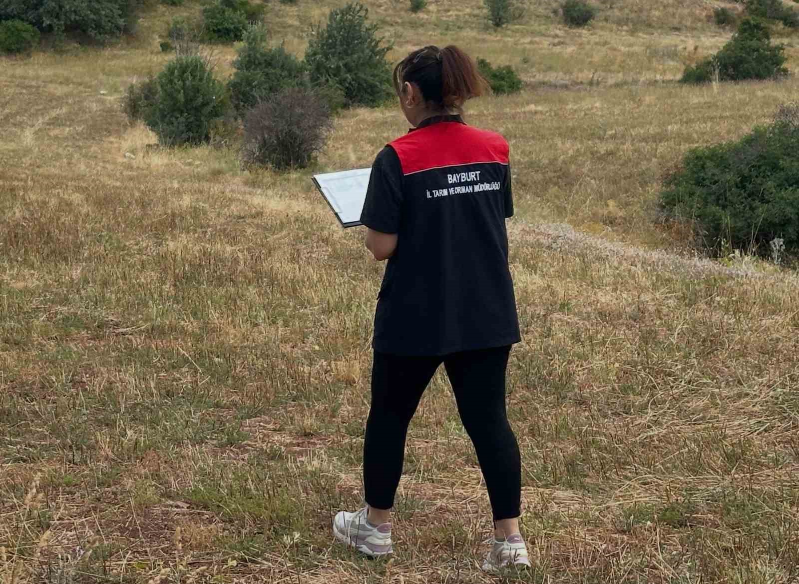 Aydıntepe&rsquo;de &uuml;r&uuml;n tespit ve &Ccedil;KS kontrolleri s&uuml;r&uuml;yor