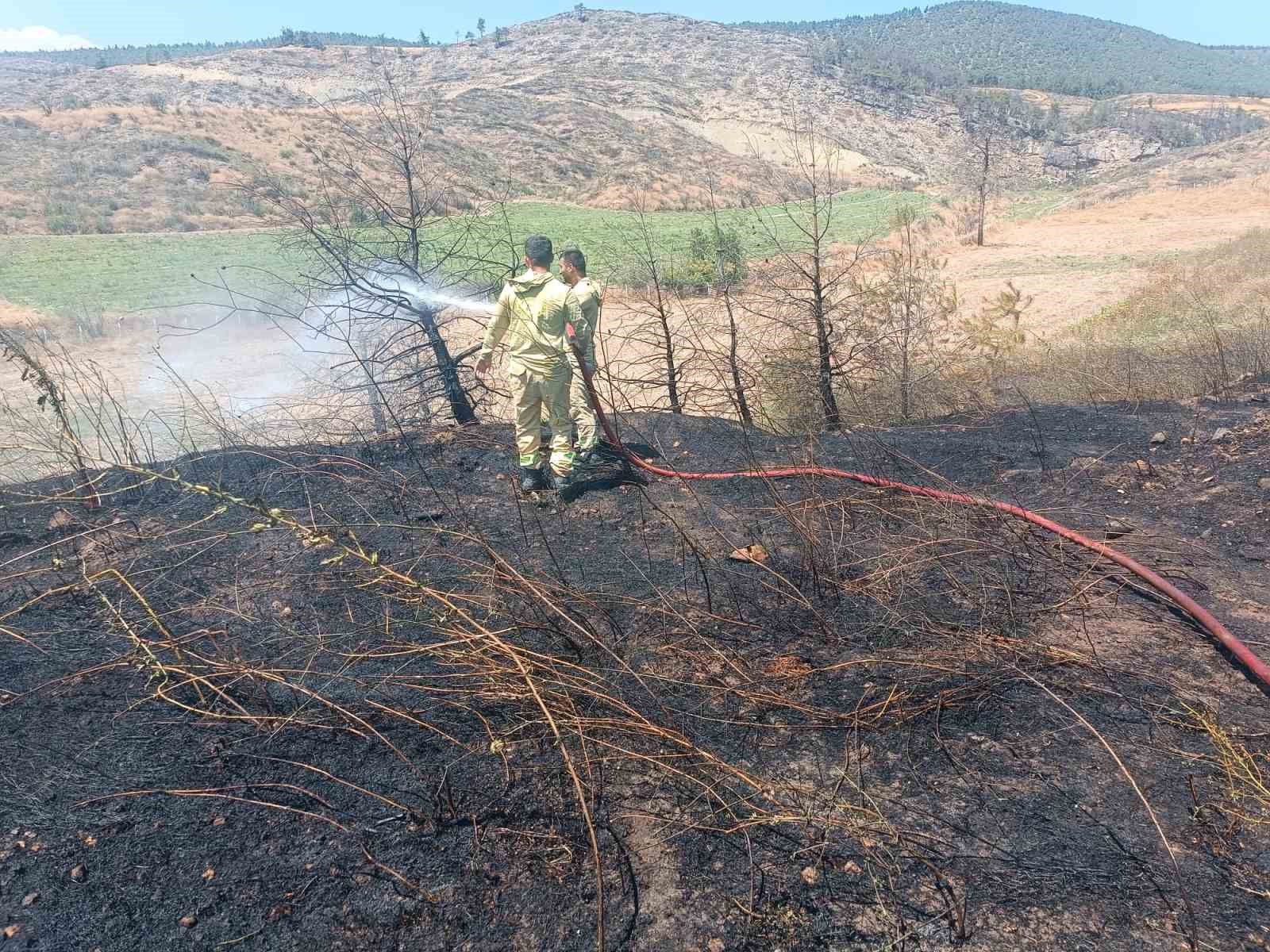 Bilecik&rsquo;te ziraat alanında &ccedil;ıkan yangın b&uuml;y&uuml;meden s&ouml;nd&uuml;r&uuml;ld&uuml;