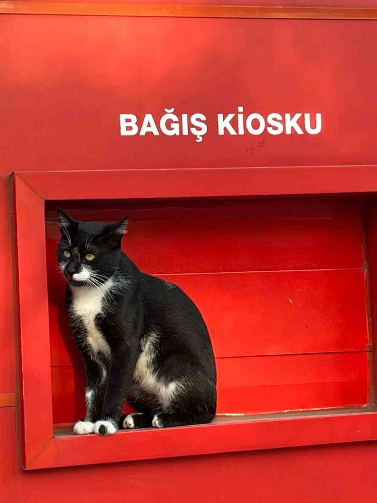 Kızılay&rsquo;ın sevimli bek&ccedil;isi