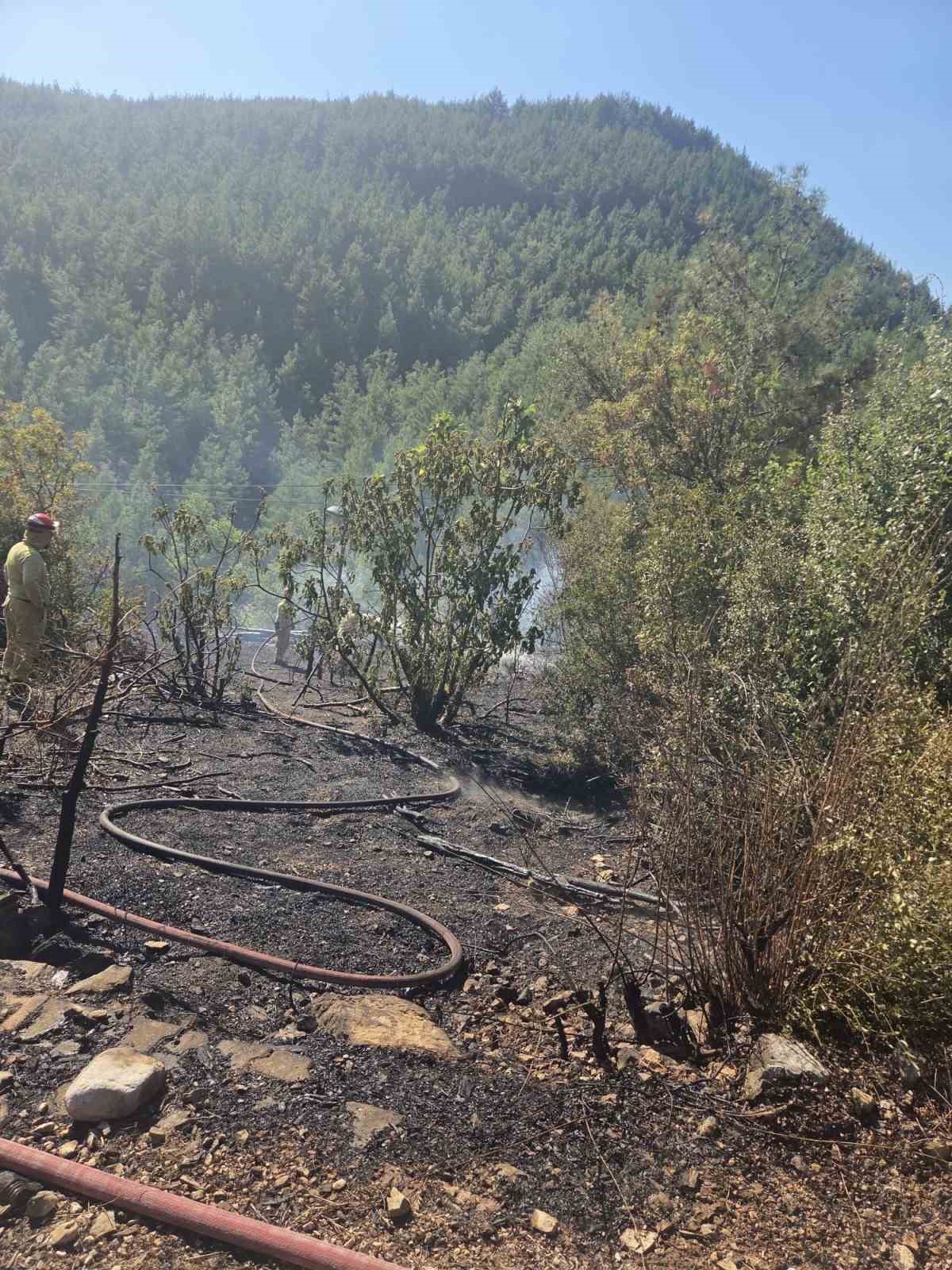 Feke&rsquo;de bir orman yangını daha