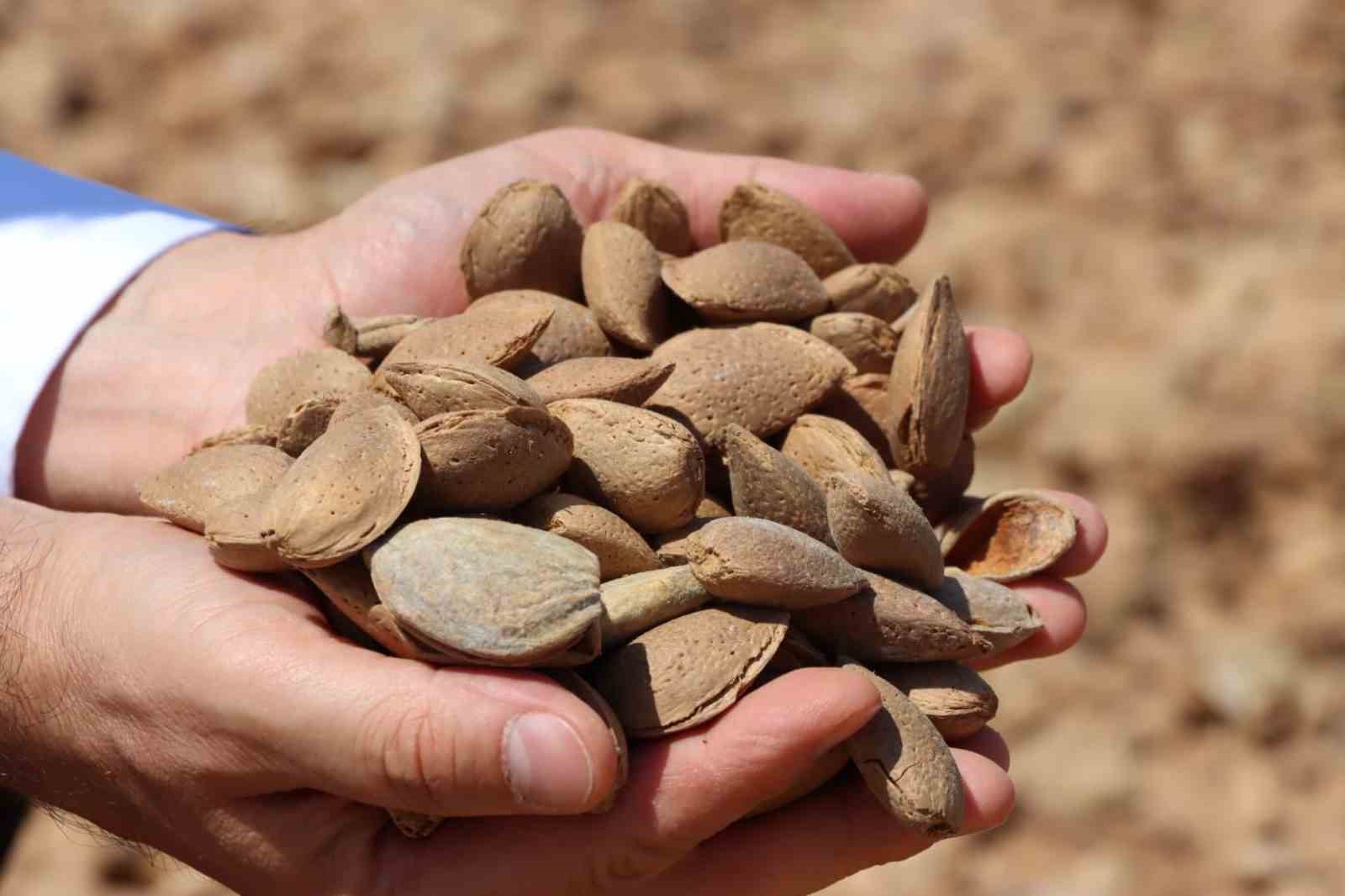 Kahta&rsquo;da tarımsal mekanizasyon destekleri &ccedil;ift&ccedil;ilere kazandırıldı