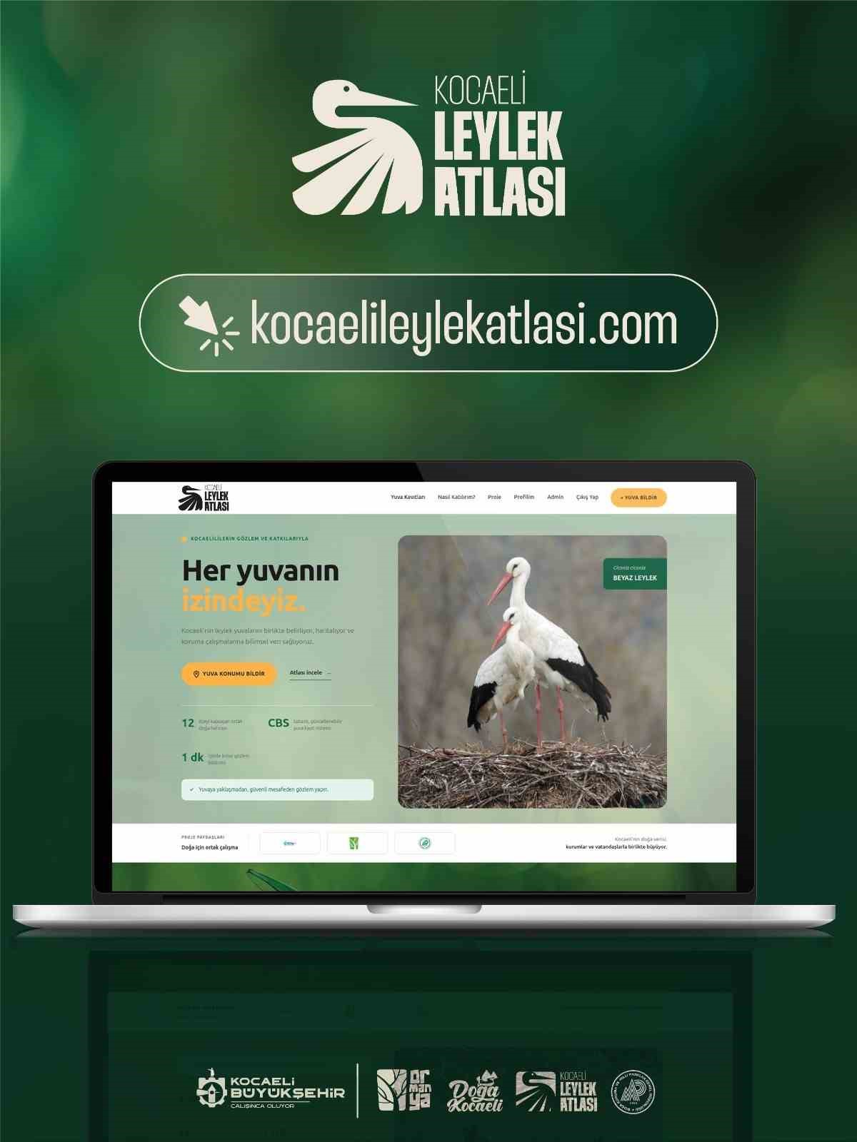 Kocaeli&rsquo;de leylek yuvaları mercek altında