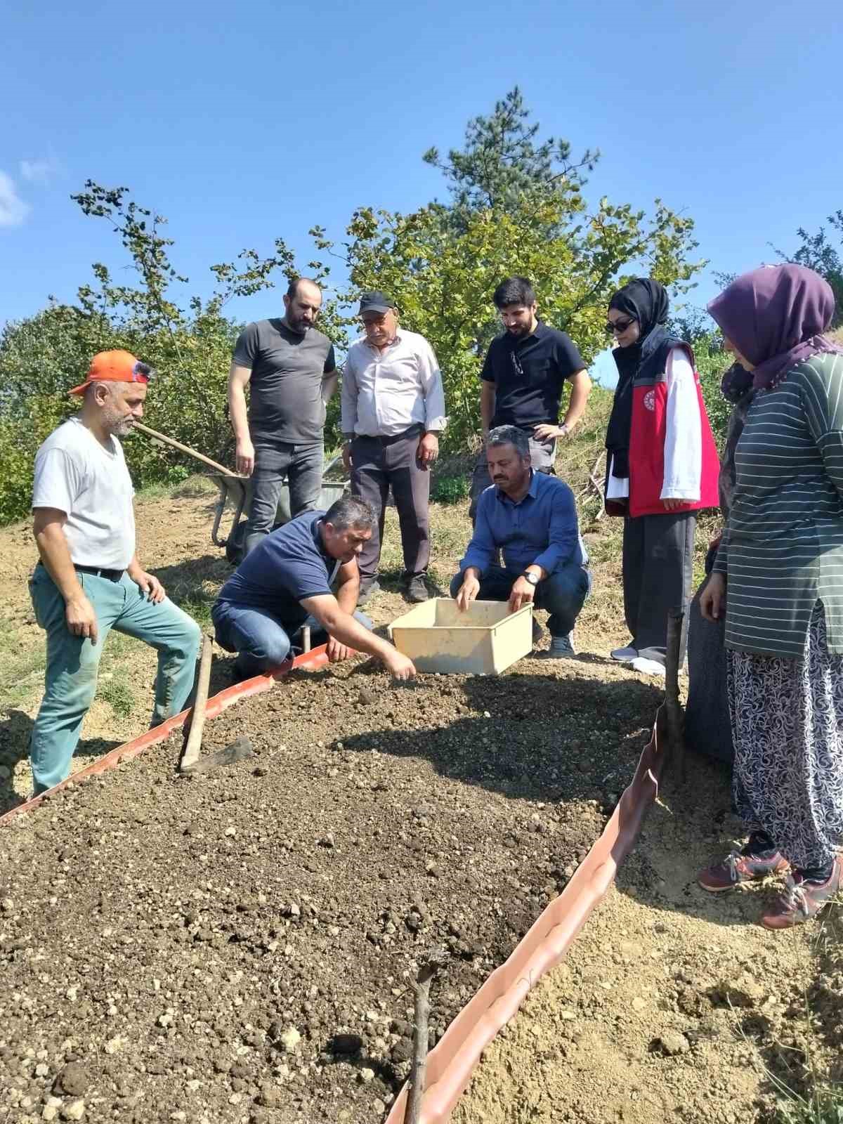 Kumluca&rsquo;da Salep dikimi ger&ccedil;ekleştirildi
